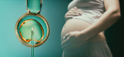 Jajna ćelija s iglom i spermom za umjetnu oplodnju ili in vitro oplodnju. Koncept umjetne oplodnje ili liječenja plodnosti.